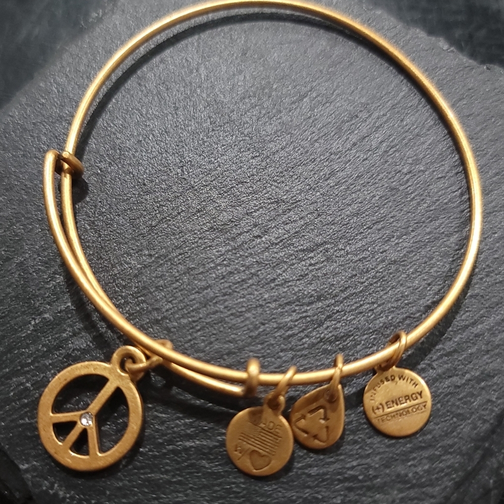 Alex and Ani Peace with Crystal Charm Adjustable Gold Finished Bracelet
